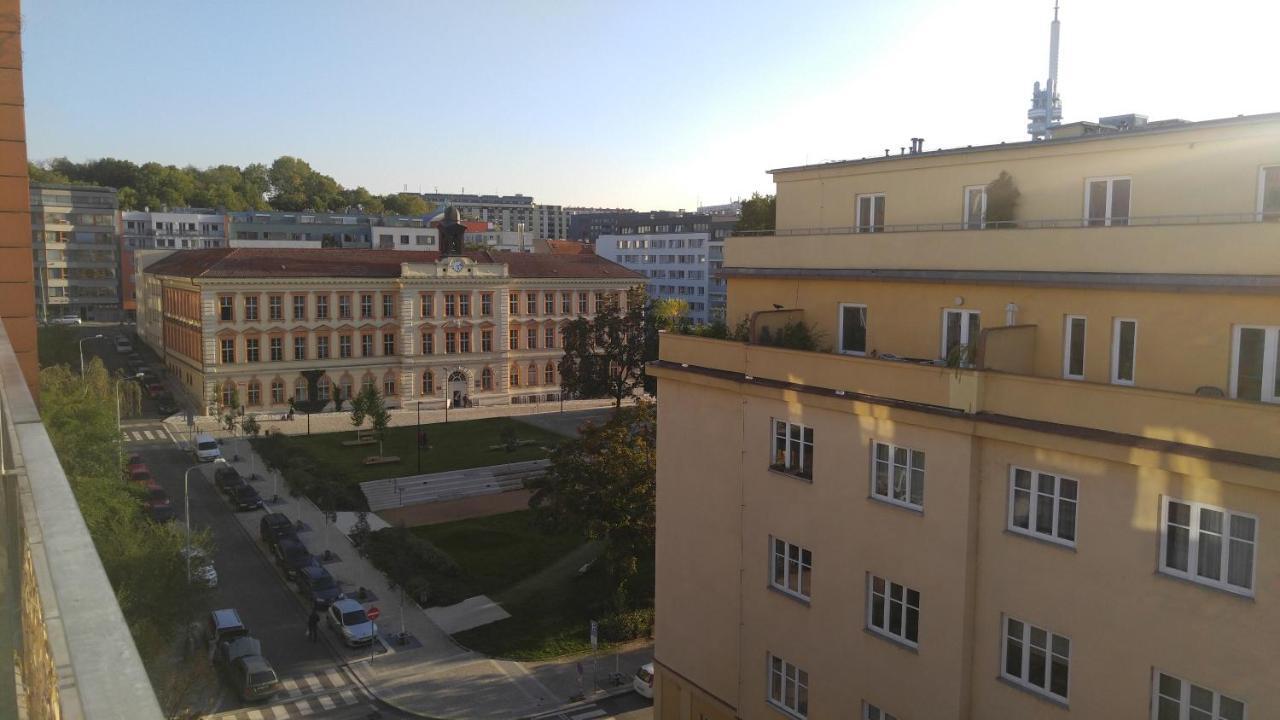 Vitkov Park Apartament
