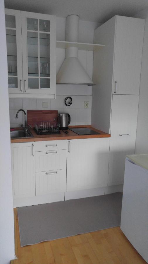 Vitkov Park Apartament
